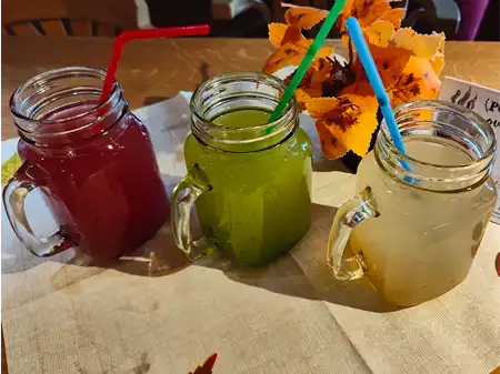 Domácí limonády ze sirupů Monin - Žabí hlen,...