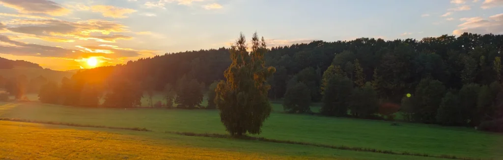 Šumavská příroda jsou louky, lesy, krásné klidné prostředí a čistý vzduch.