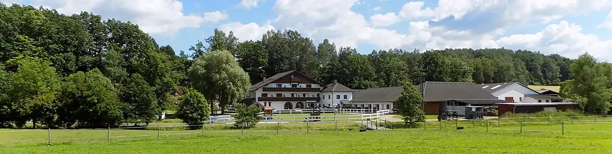 Dovolená v penzionu na Šumavě s dětmi i s bazénem. A pro psy taky